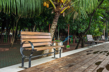 Obraz premium bench at the park without people