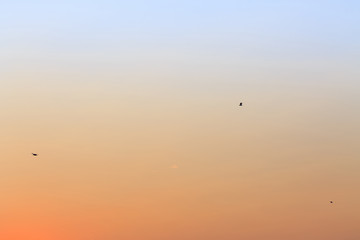 bright colors of the evening sky / nature is always pleased with something that is not repeatable