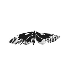 hawk moth vector doodle sketch isolated on white background