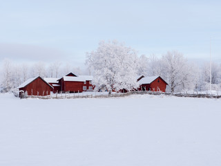 Farm barn and house in a cold winter landscape with snow and frost © Conny Sjostrom