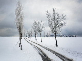 Blick auf eine verschneite Straße, mit Bäumen, in der Sächsischen Schweiz.