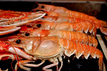 Shrimp. Spanish food to paella