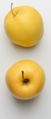 Two yellow apples on white