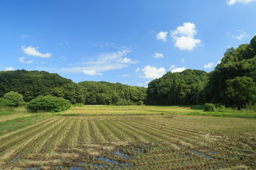 Fototapeta na wymiar のどかな農村の風景