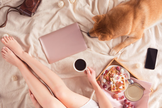 View from above of cozy workplace with woman legs, pink air laptop, coffee cup, waffles with fruit and cute dog. Flat lay, top view - Powered by Adobe