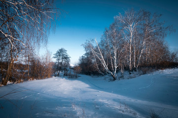 winter landscape with trees and snow