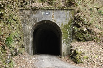 鋸山林道の神戸隧道