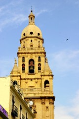 Fototapeta premium Cathedral of Murcia. Spain