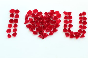 red hearts on white background
