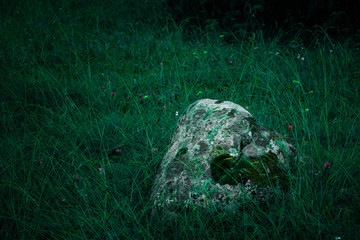Colorful green mossy big stone. Photo depicting a bright bushy lichen on an old gray stone in the mystic forest.