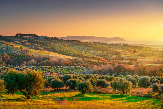 Maremma sunset panorama. Countryside, sea and Elba on horizon. San Vincenzo, Tuscany, Italy.