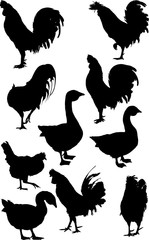 ten farm bird black silhouettes