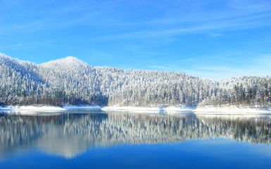 Lake and forest in winter; Gorski kotar area, Croatia