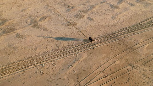 Girl on horse on the beatch - Dutch coastline Hondsbossche seawall