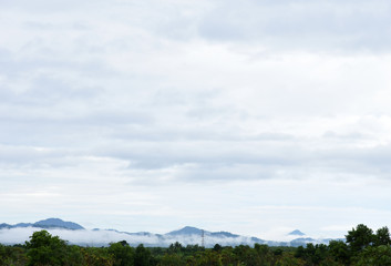 beautiful Fog morning on Mountain