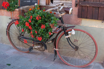 Old bicycle decorated with flowers in Ribeauville, France.
