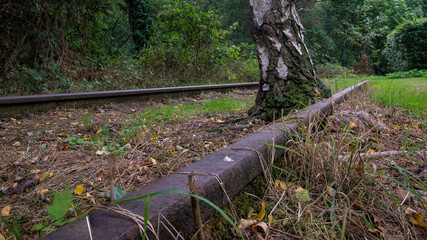 Alte Schienen im Wald in Duisburg