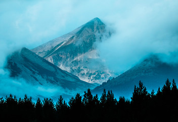 Amazing foggy mystic mountains. Fog clouds at the pine tree mystical woods, morning. Europe, mysterious alpine scenic view.