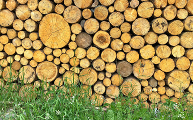 Stacked Logs in Italy