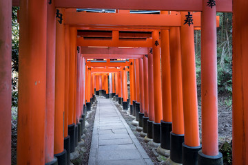 Torii Gates(The Gateway to a sacred space) in Fushimi Inari Shrine (Fushimi Inari Taisha)at Kyoto Japan