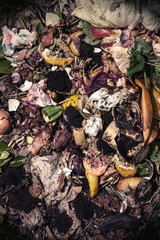 Organic waste taken from above brown colours. Bio-waste with pieces of eggs, vegetables and other food in decomposition.