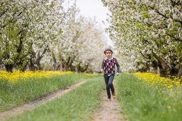 Obraz premium Little blonde boy in gray hat running in blooming apple and cherry garden. Warm springtime and mothers and woman day