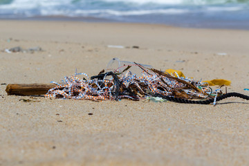 Beach pollution, plastic and waste from ocean on the beach