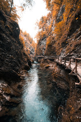Fototapeta na wymiar Vintgar gorge and wooden path,Bled,Slovenia