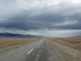 Весна степь всадник лошади