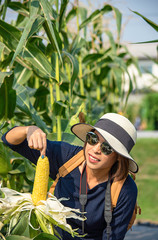 A woman holding the corn at the show in the farm.