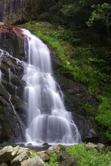 Obraz premium 滝（waterfall）