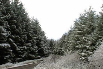 Dublin, Ireland - January 29th 2019: First true snowfall of the year over the Dublin Mountains. While the dusting was light, the snow fall made for some wonderful images on higher ground.