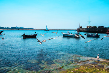 Obraz premium Fishing boats on the Douro River. Porto. Portugal