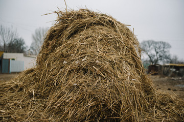 Haystack on the ground