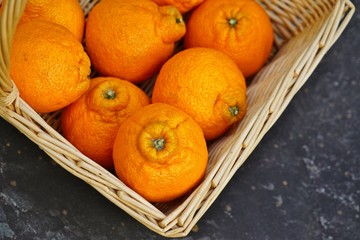 Sumo citrus giant mandarin orange fruit
