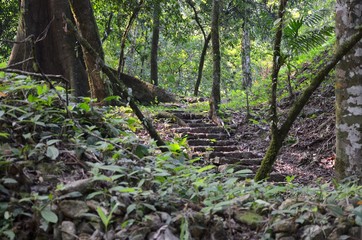 Palenque, a Maya Ancient City In Southern Mexico