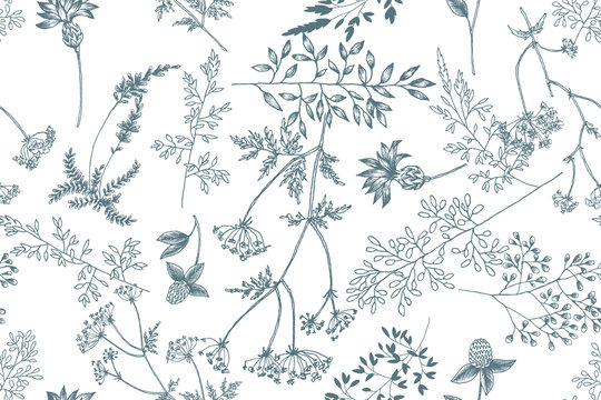 Wild flowers blossom branch seamless pattern. Vintage botanical hand drawn illustration. Spring herbal flowers with different plants of vintage garden and forest. Vector design. Can use for greeting c