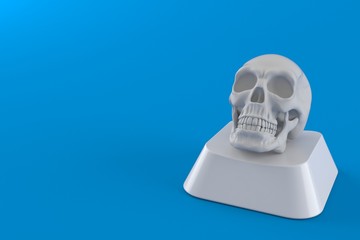 Skull on computer key