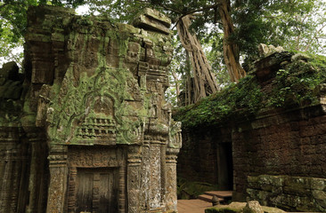 Fototapeta premium Bas relief on Ta Prohm temple, Angkor, Cambodia