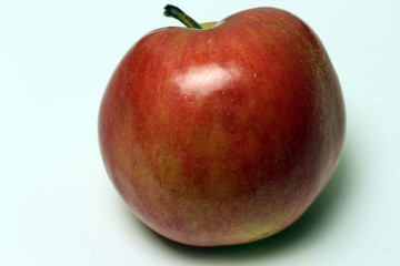 Red Apple on white background