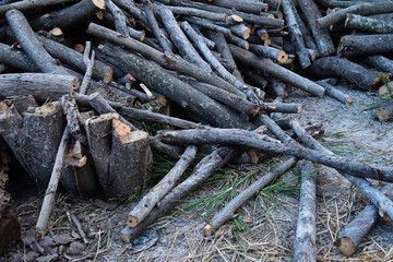 pile of old firewood