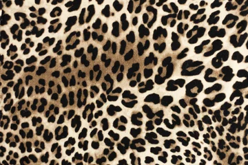 Tuinposter Luipaard stof textuur. Mode textiel achtergrond. © Inna Dodor