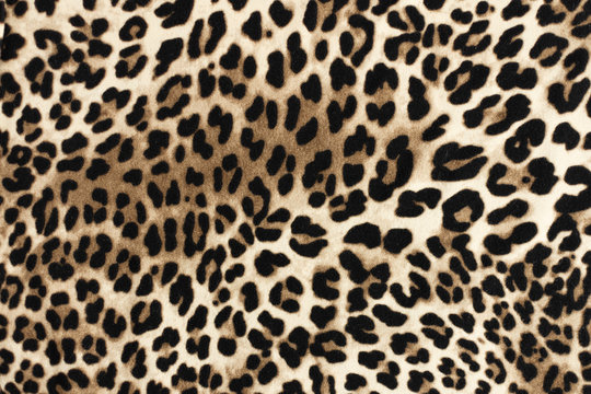 Leopard fablic texture. Fashion textile background.