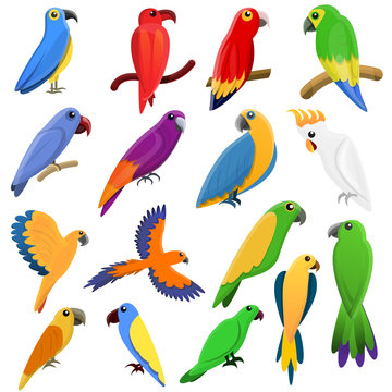 Parrot icons set. Cartoon set of parrot vector icons for web design
