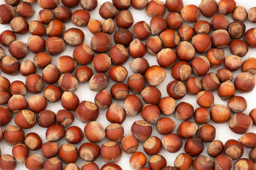 brown hazelnuts laid out throughout the frame.