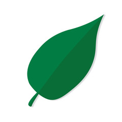 green leaf icon- vector illustration