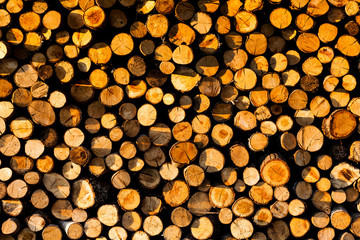 Background of dry chopped firewood logs stacked up on top of each other in a pile.