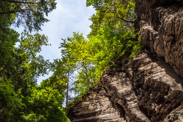 Looking Up From the Canyon Floor of Watkins Glen State Park in New York