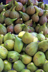 Figs / Fig harvest in the market in Baku, Azerbaijan
