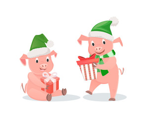 New Year pigs with gift boxes in hat and scarf. Pigs with presents, livestock mammal, winter holidays, zodiac symbol vector illustrations isolated